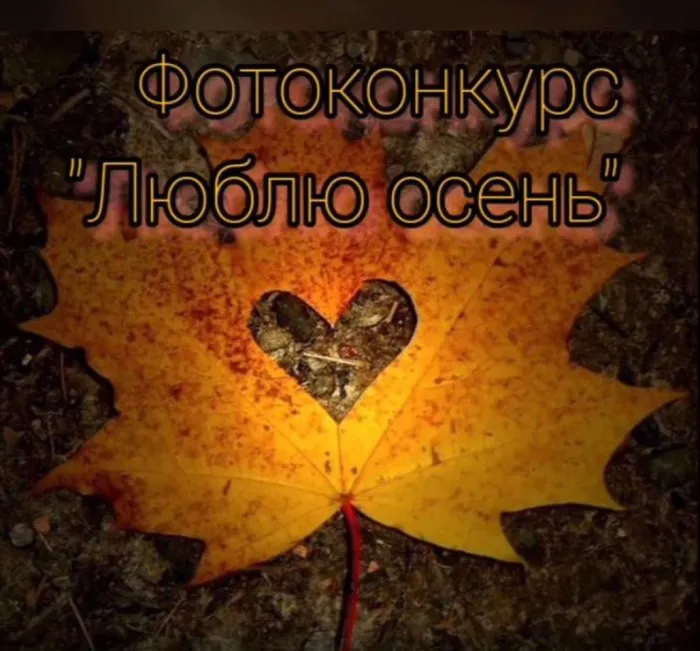 Снимок1