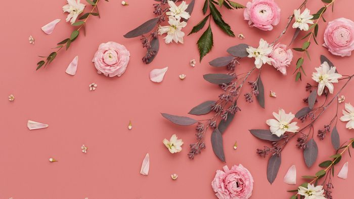 west-elm-pink-flowers-wallpaper-desktop